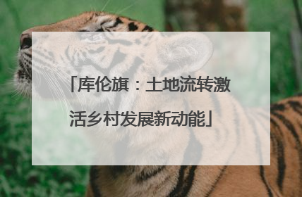 库伦旗：土地流转激活乡村发展新动能